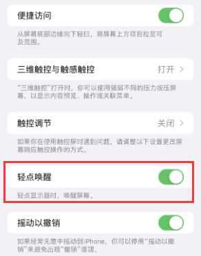 萨嘎苹果授权维修站分享iPhone轻点无法唤醒怎么办