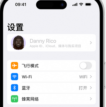 萨嘎appleID维修服务iPhone设置中Apple ID显示为灰色无法使用 