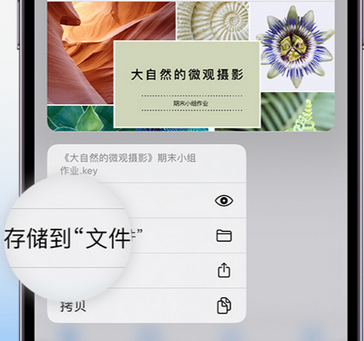 萨嘎apple维修中心分享iPhone文件应用中存储和找到下载文件