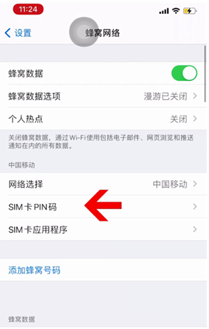 萨嘎苹果14维修网分享如何给iPhone14的SIM卡设置密码 