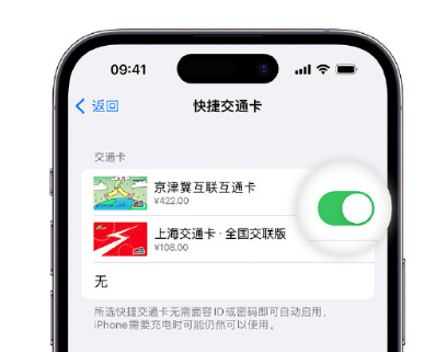 萨嘎apple维修点分享iPhone上更换Apple Pay快捷交通卡手绘卡面 