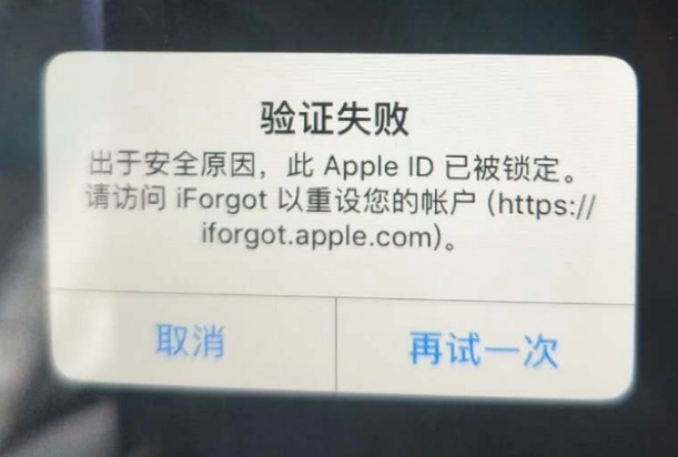 萨嘎iPhone维修分享iPhone上正常登录或使用AppleID怎么办 