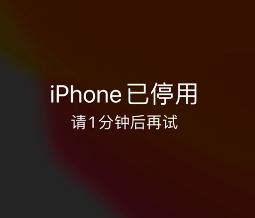 萨嘎苹果手机维修分享:iPhone 显示“不可用”或“已停用”怎么办？还能保留数据吗？ 