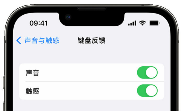 萨嘎苹果手机维修分享iPhone 14触感键盘使用方法 