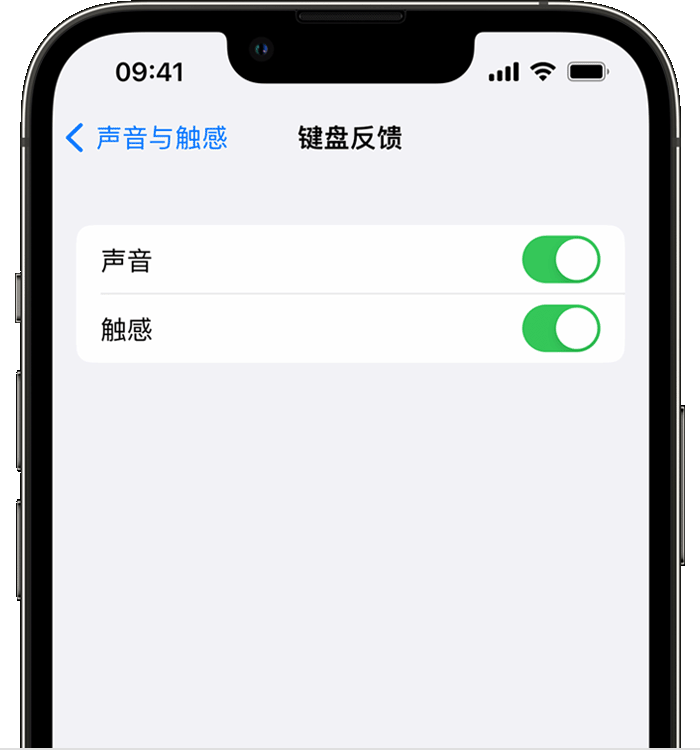 萨嘎苹果14维修店分享如何在 iPhone 14 机型中使用触感键盘 