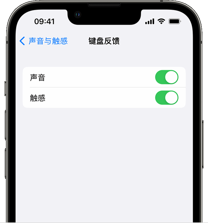 萨嘎苹果14维修分享iPhone 14 系列机型如何开启键盘声音或触感反馈 