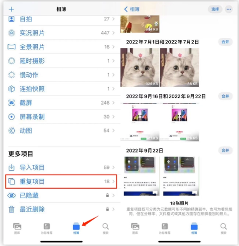 萨嘎苹果手机维修分享iOS 16 中相册重复项目功能使用方法 