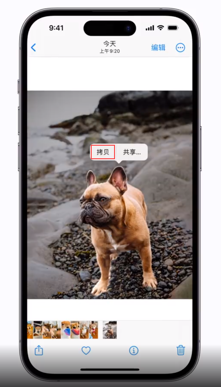 萨嘎苹果手机维修分享 iOS 16 自带一键抠图功能 