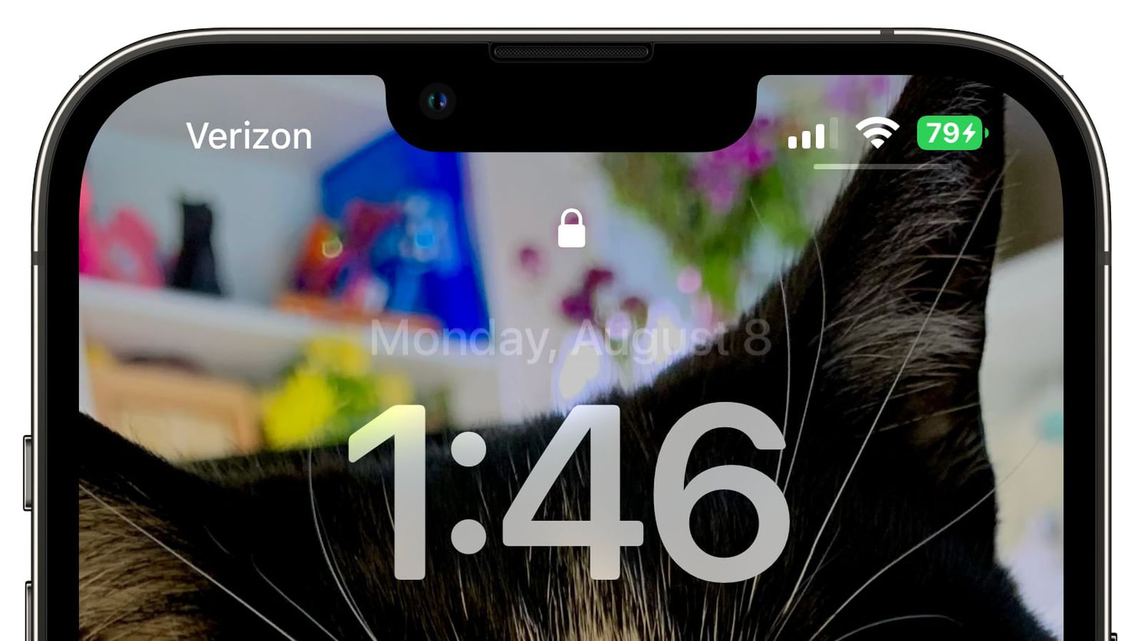 萨嘎苹果手机维修分享iOS 16 beta 5 支持状态栏显示电池百分比，如何开启？支持哪些机型 