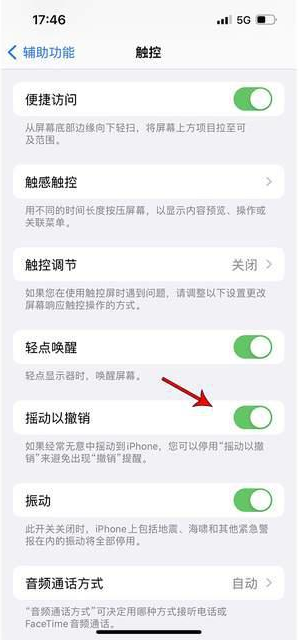 萨嘎苹果手机维修分享iPhone手机如何设置摇一摇删除文字 