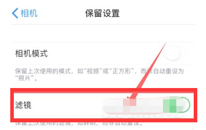 萨嘎苹果13维修分享iPhone13拍照有绿点是怎么回事 