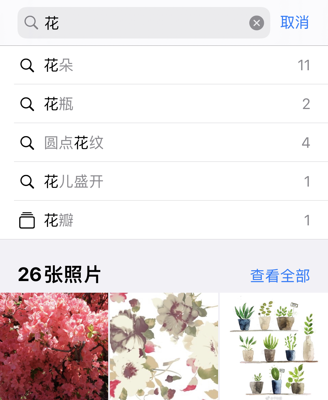 萨嘎苹果手机维修分享iPhone 小技巧 