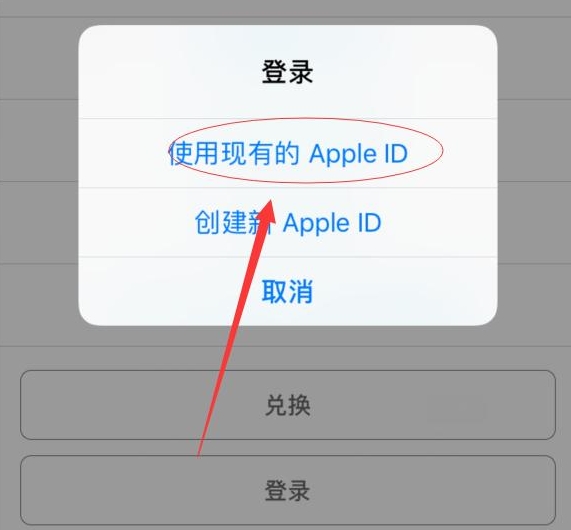 萨嘎苹果手机维修分享两台iPhone设备可以同时登录一个Apple ID吗 