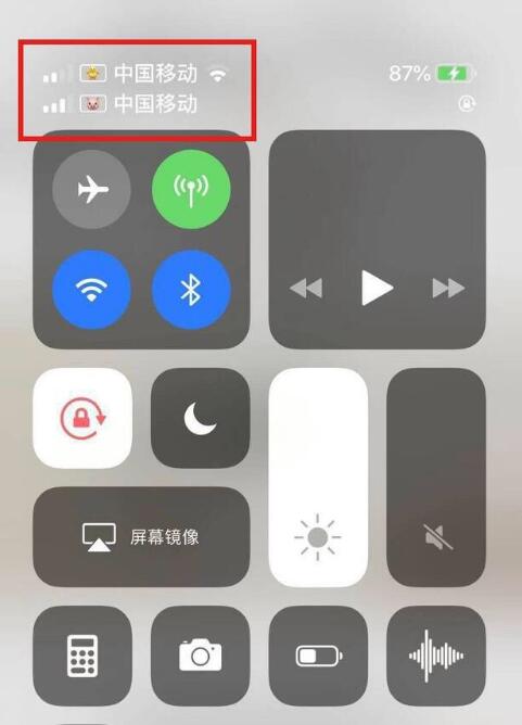萨嘎苹果手机维修分享为 iPhone 12 双卡设置标签 